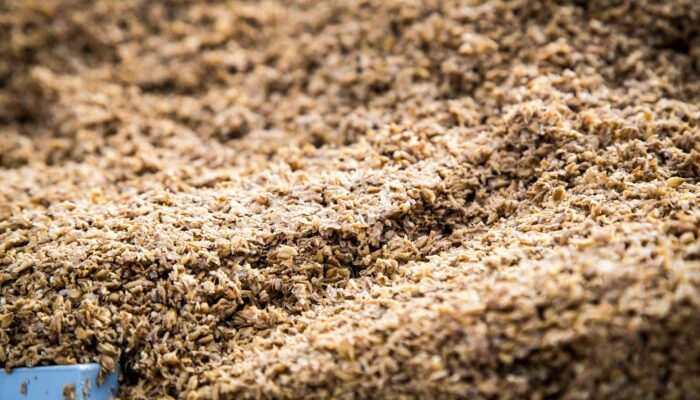 Amateurs de bières spéciales ? attendez de voir ce qu’on vous réserve ! Amateurs de bières spéciales ? attendez de voir ce qu’on vous réserve !