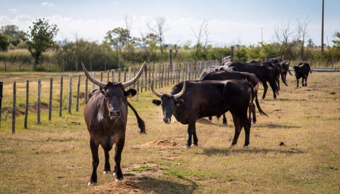 Amateurs de bières spéciales ? attendez de voir ce qu’on vous réserve ! Amateurs de bières spéciales ? attendez de voir ce qu’on vous réserve !