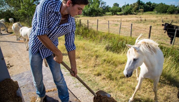 Amateurs de bières spéciales ? attendez de voir ce qu’on vous réserve ! Amateurs de bières spéciales ? attendez de voir ce qu’on vous réserve !