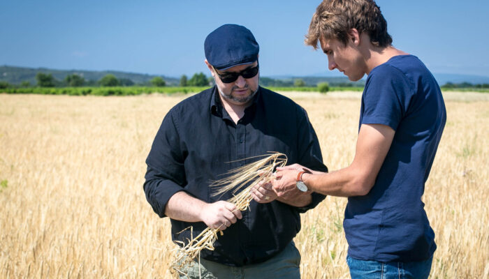 Une orge 100% locale pour nos prochaines bières !