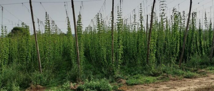 20230905_095928-scaled-848x500