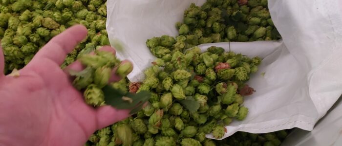 20230905_100729-scaled