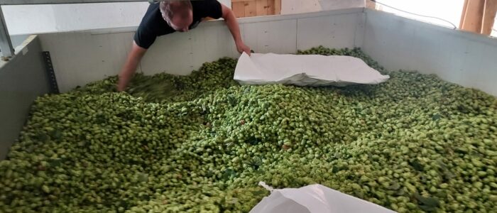 20230905_100744-scaled