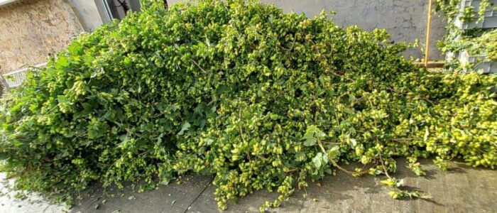 20230905_101730-scaled-848x500